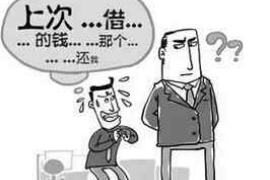 平湖专业讨债公司有哪些核心服务？